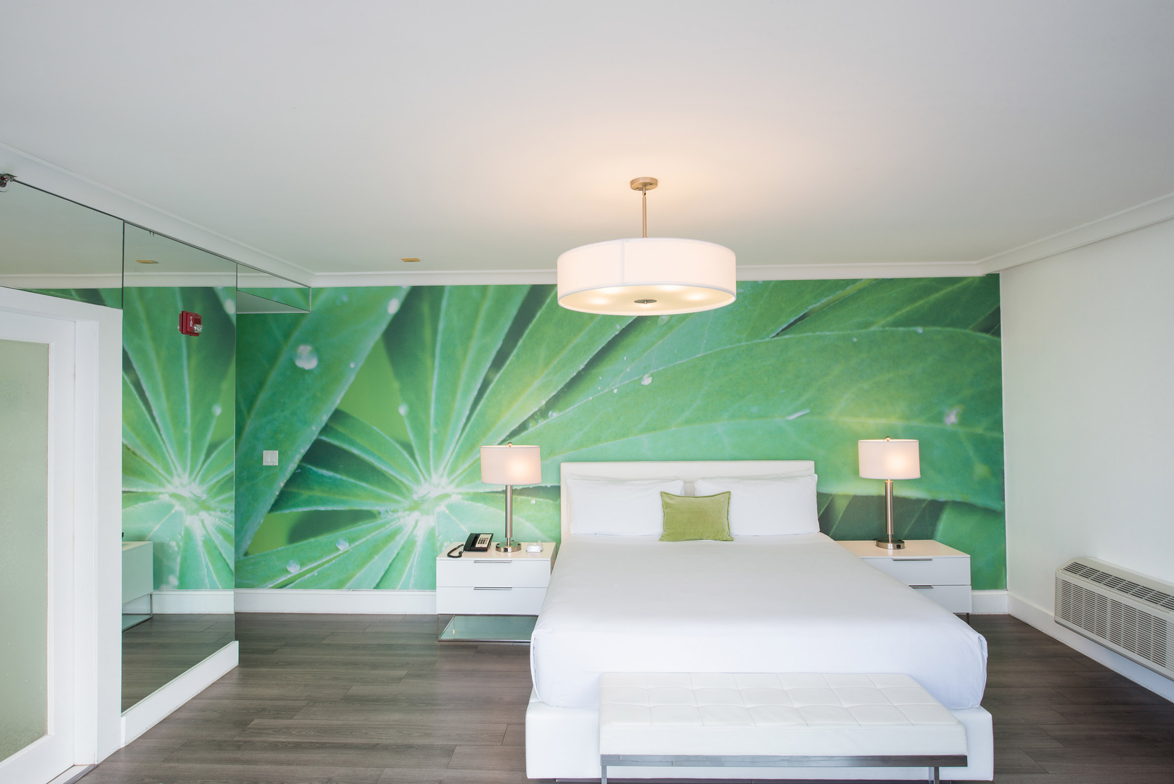 A clean and modern hotel room with a large bed, green accent wall, and leaf mural.
